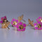 Pure Silver Pink Enamel Flowers 18G (Pack Of 10)